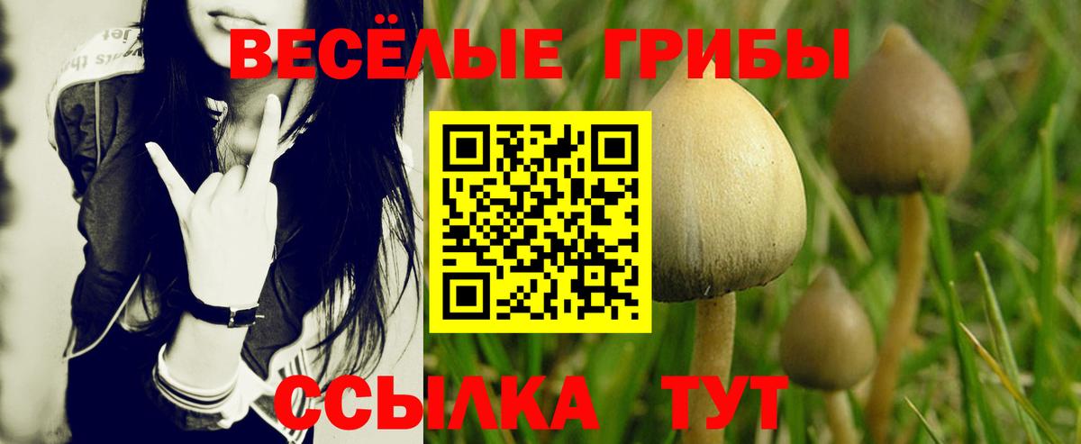 Псилоцибиновые грибы Psilocybine cubensis  Вход с VPN  Советская Гавань 