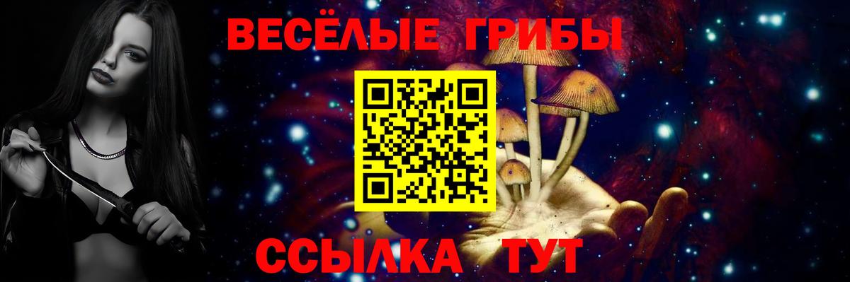 Псилоцибиновые грибы Psilocybine cubensis Советская Гавань